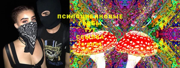Альфа ПВП Володарск