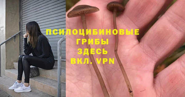 дживик Волоколамск