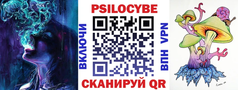 купить   Хабаровск  Галлюциногенные грибы Cubensis 